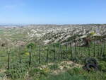 Landschaft zwischen Capo Colonna und Vermica, Kalabrien (08.04.2024)