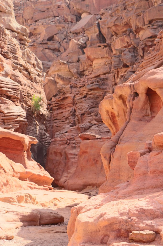 24.11.2012: Weg durch den Coloured Canyon im Sinaigebirge