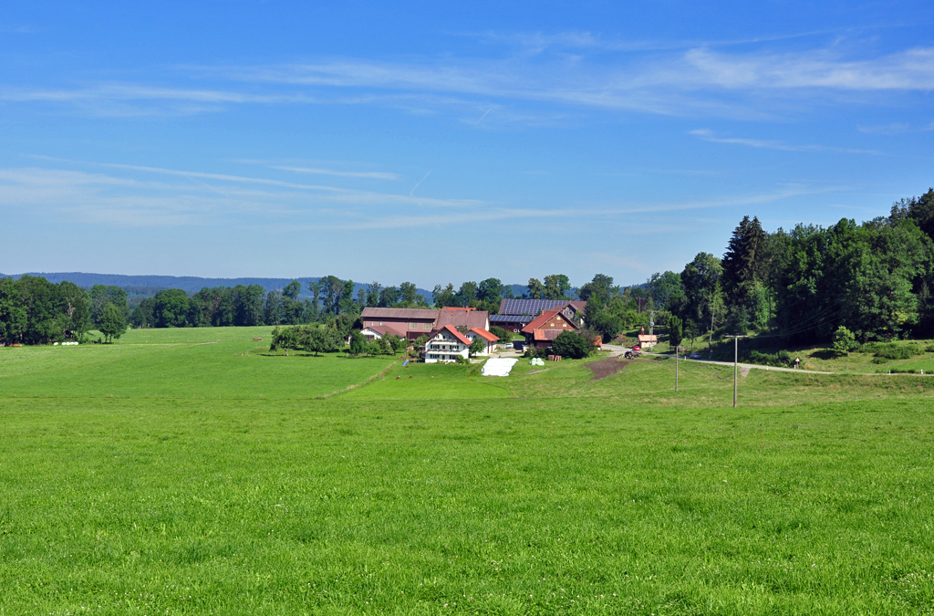 Allgu-Bauernhfe in der bekannt  grnen  Weidelandschaft im schwbischen Allgu, in der Nhe von Isny - 16.07.2011