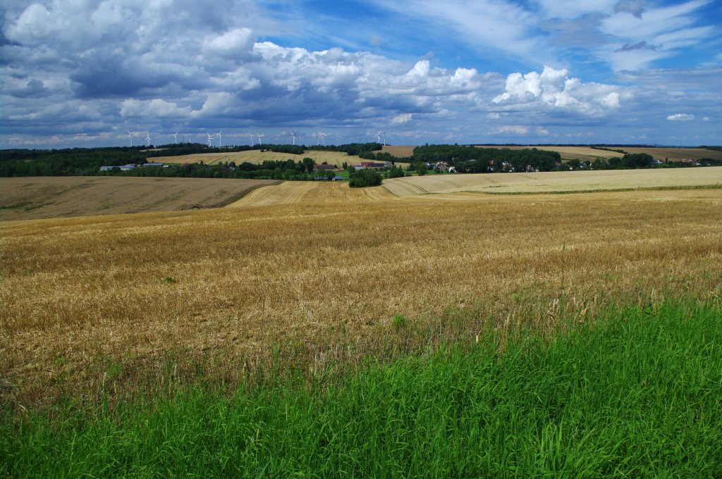 Altenburger Land bei Altenburg, Thringen (18.07.2011)