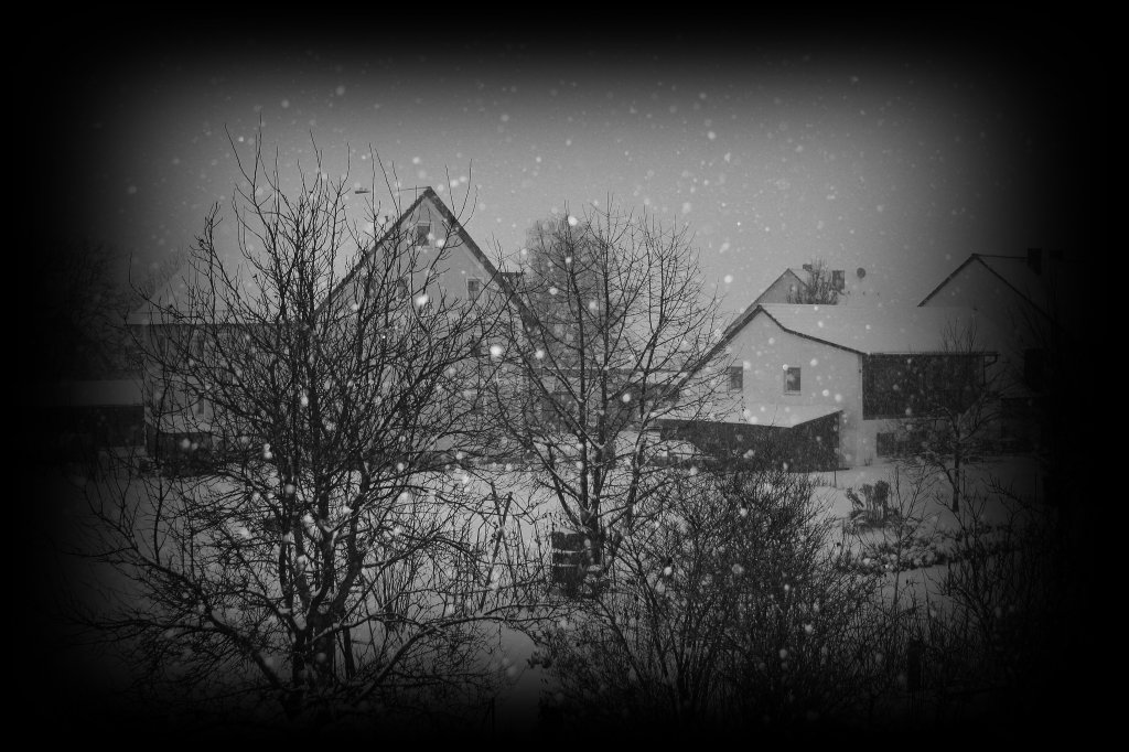 Am 01.12.2010 in Scheuer.  