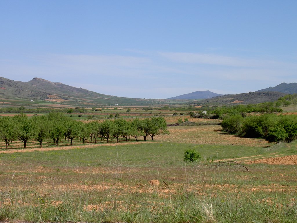 Aragon, Bezirk Calatayud Richtung Nuevalos (17.05.2010)