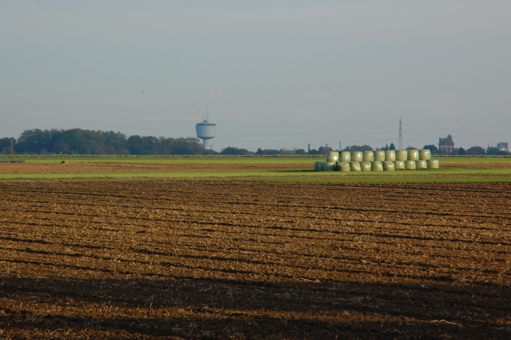 Aussicht auf Dlken, ber die Felder bei Boisheim. 22.10.2010