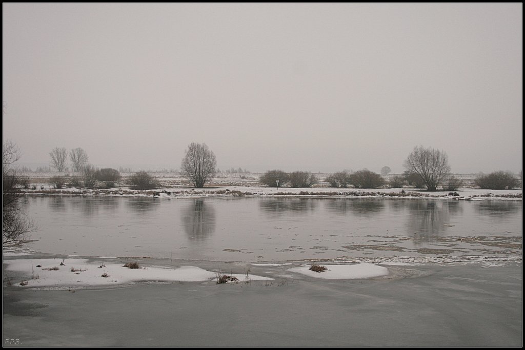 Bei trben und diesigem Wetter ein Spaziergang entlang der Oder. Auf der anderen Seite ist Polen (b. Eisenhttenstadt, 24.12.2009)