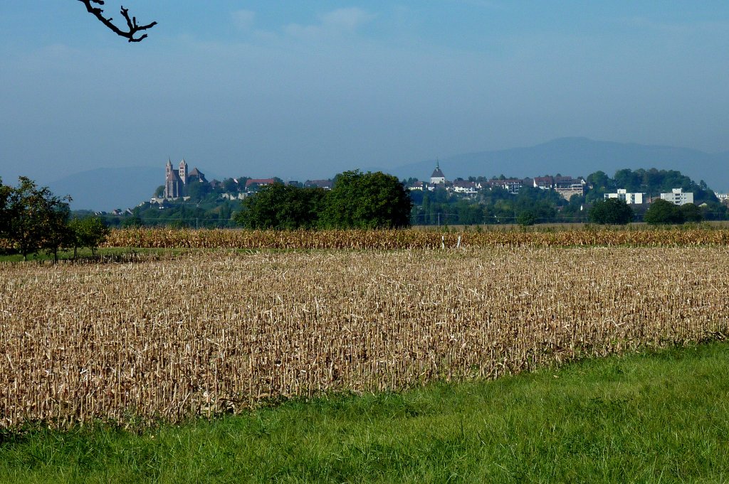 Blick auf Breisach, im Hintergrund die Vogesen, Sept.2012