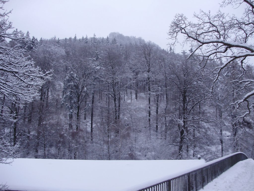 blick auf den winterlichen verschneiten burgberg
in bad harzburg aufgenommen nhe bergbahn brcke ber 
die B4 am 09.01.10