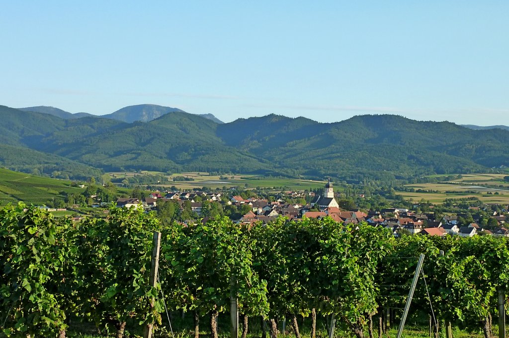 Blick vom Batzenberg auf den Weinort Kirchhofen im Markgrflerland, im Hintergrund der Schwarzwald, Sept.2012