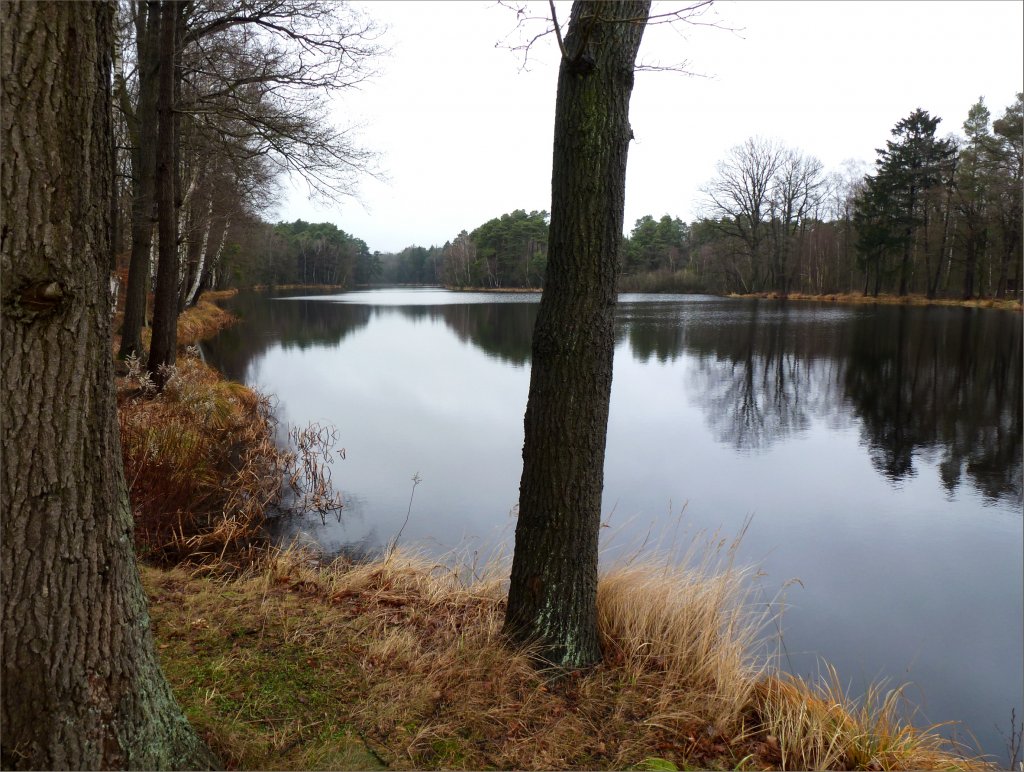 Blick �ber den Reininger M�hlenteich in der N�he von Wietzendorf,