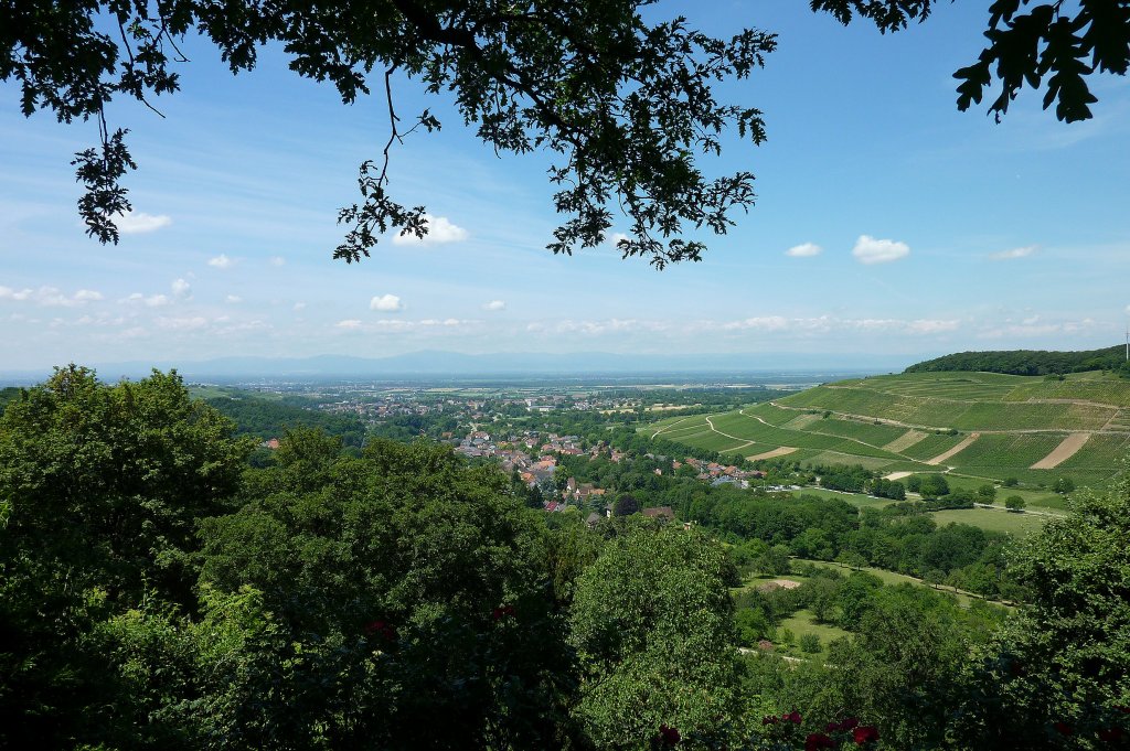 Blick von der Burgruine Badenweiler in die Rheinebene, rechts die Weinlage  Rmerberg , Juni 2011 