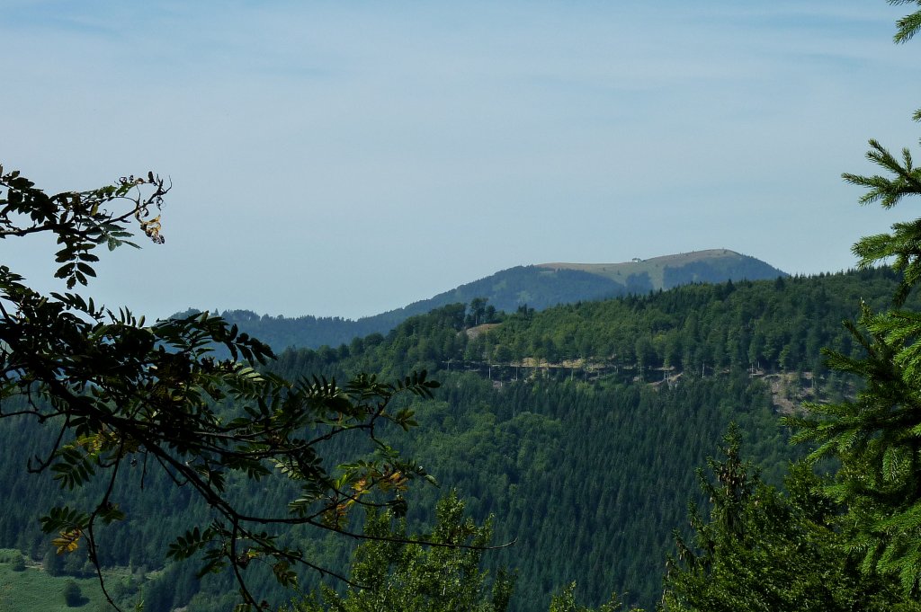 Blick vom Hasenhorn zum 1414m hohen Belchen im Sdschwarzwald, Aug.2012