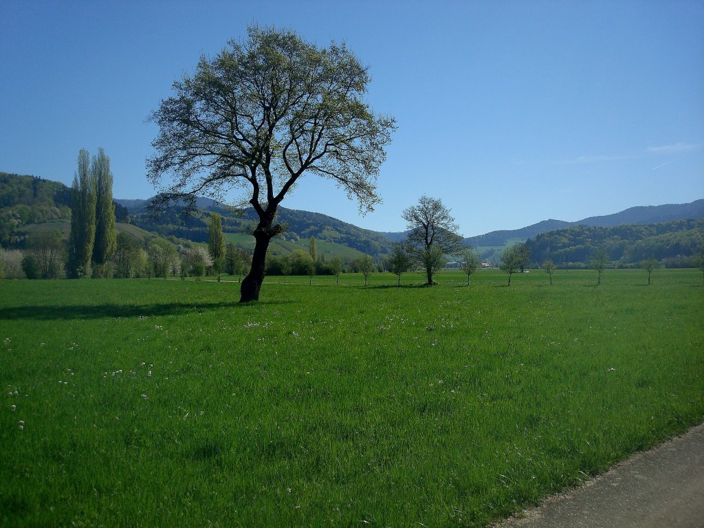 Blick ins Glottertal im Schwarzwald, Mrz 2011 