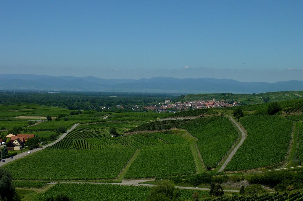 Blick vom Kaiserstuhl in die Rheinebene auf den Weinort Burkheim, im Hintergrund die Vogesen, Juni 2011 