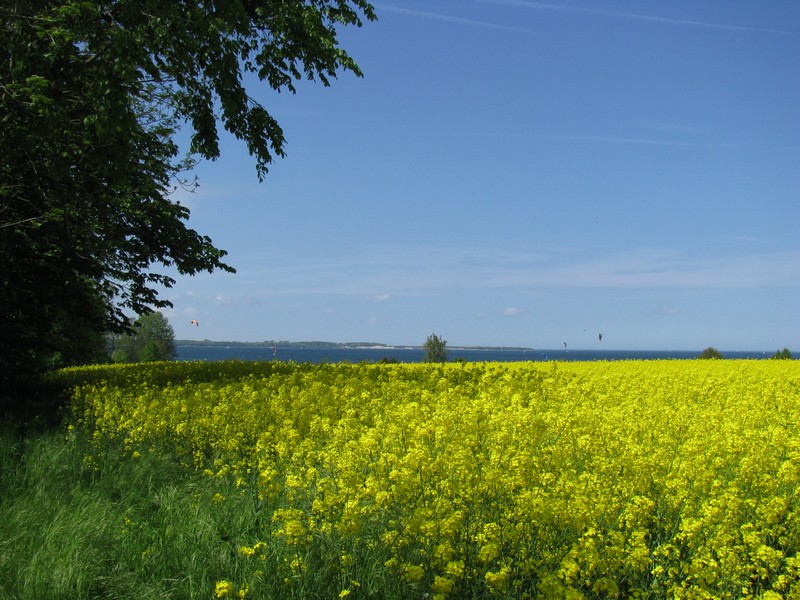 Blick von der L 01 ber die Wohlenberger Wiek (Ostsee) nach Boltenhagen/Tarnewitz (NWM) zur Marina  Weie Wiek , 23.05.2010