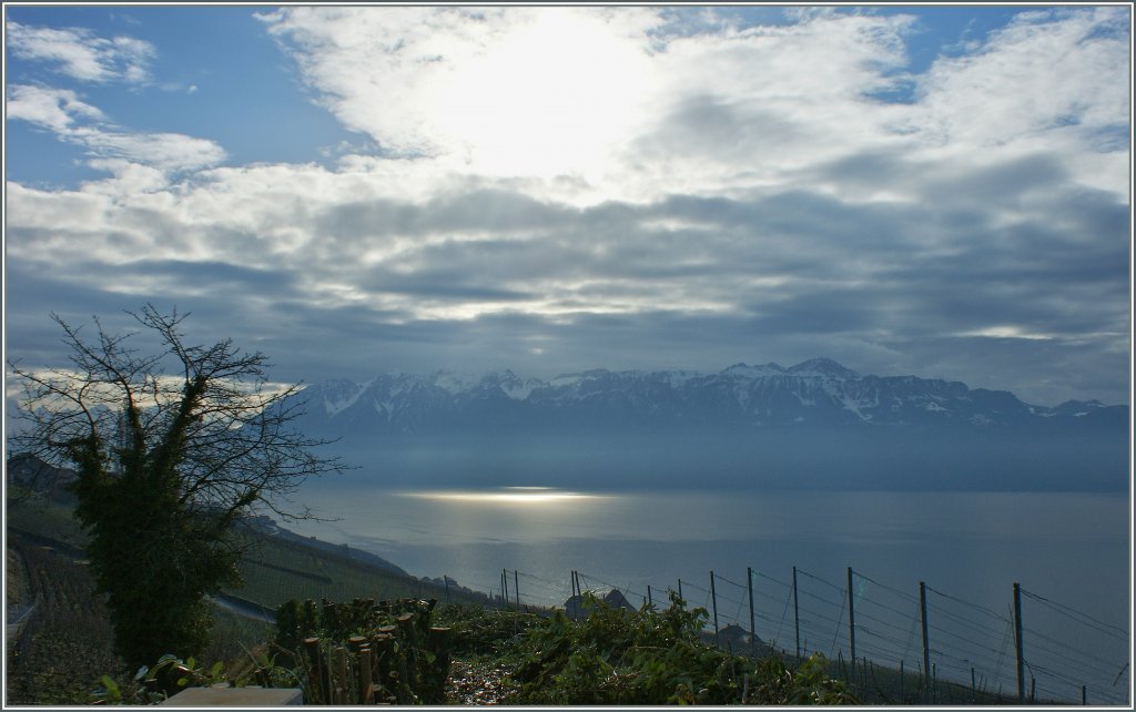 Blick vom Lavaux ber den Genfersee auf die Savoyer Alpen.
(04.01.2013)