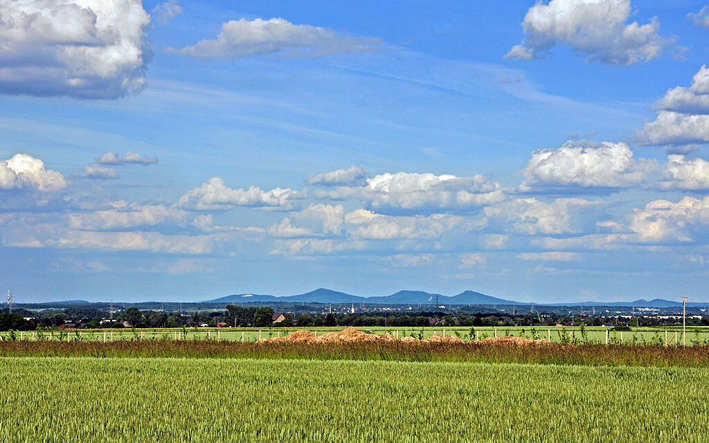Blick von Odendorf (Rhein-Sieg-Kreis) ber die Felder auf das Siebengebirge - 14-06-2010