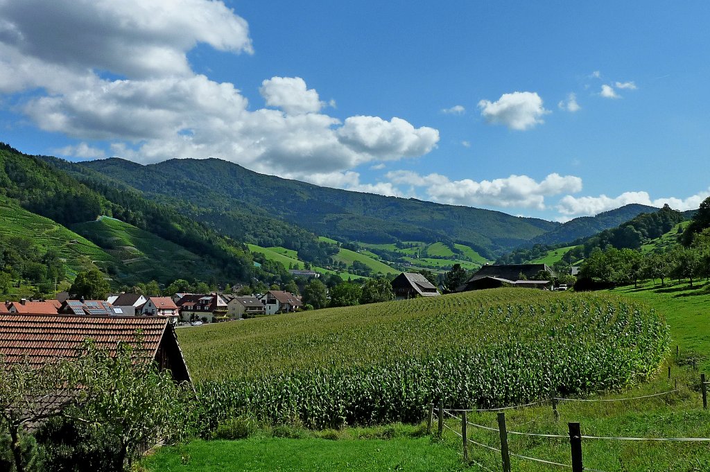 Blick vom Ort Glottertal ins Oberglottertal/Schwarzwald, Aug.2011