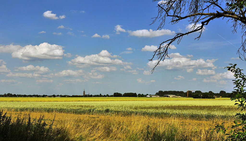 Blick von Palmersheim ber die Felder nach Odendorf,  geschmckt  mit Schn-Wetter-Wolken - 30.06.2010