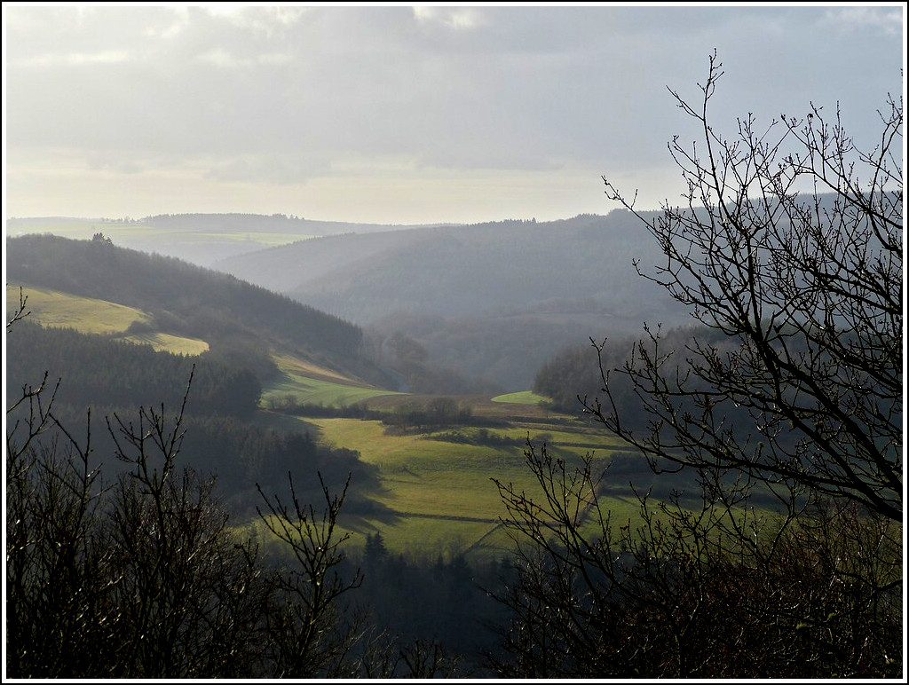 Blick in Richtung Stausee der Obersauer in der N�he von