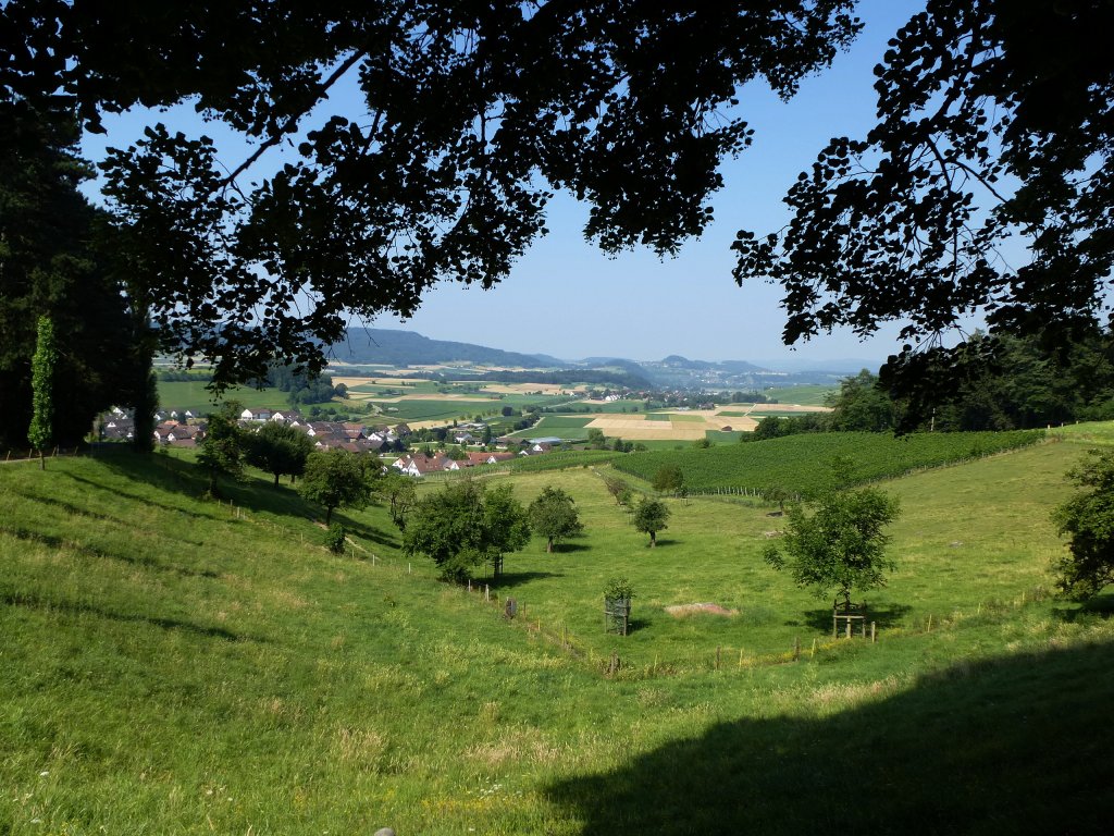Blick vom Schlo und Weingut Goldenberg, Juli 2013