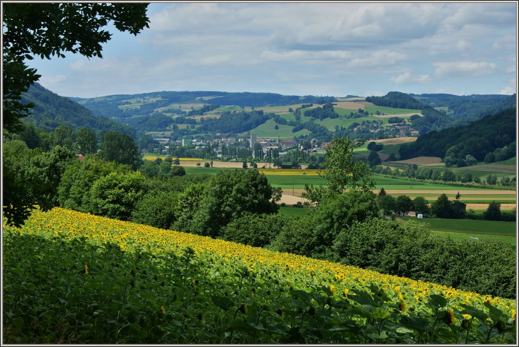 Blick ber die Felder und das Stdtchen Moudon im Waadtlnder Mittelland.
(12.07.2012)