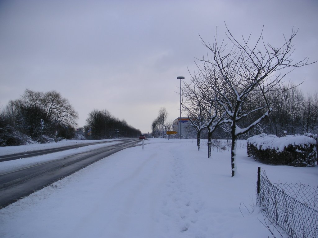 Das Foto zeigt die Flughafenstrae  in Saarbrcken-Ensheim. Die Aufnahme des Fotos war am 01.02.2010.