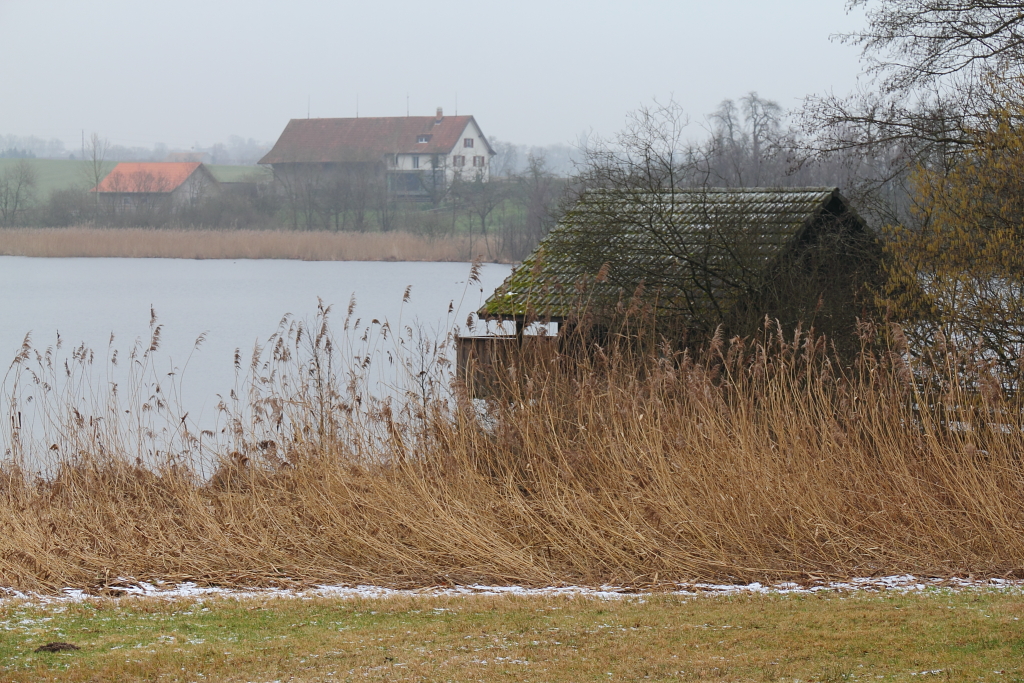 Der Bommer Weiher an einem kalten grauen Wintertag (29.01.2012) 