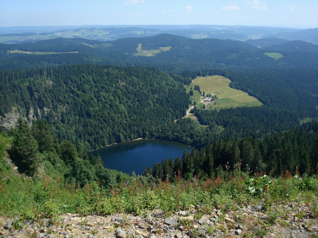 der Feldsee im Schwarzwald,
liegt am Fue des Feldberges,
Juli 2010 