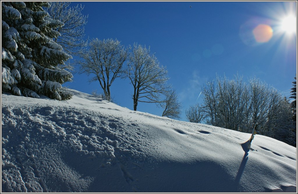 Der frischgefallene Schnee verzaubert die Natur.
(19.12.2012)