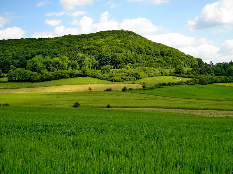 Der Landecker Berg in Schenklengsfeld  