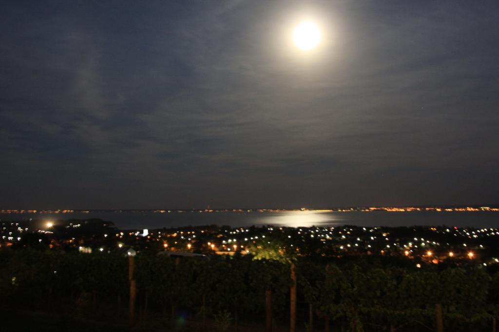 Der Mond scheint auf den grten Binnensee Ungarns den Balaton.
Aufnahme am 30.08.2012 von den Weinbergen oberhalb Czopak.