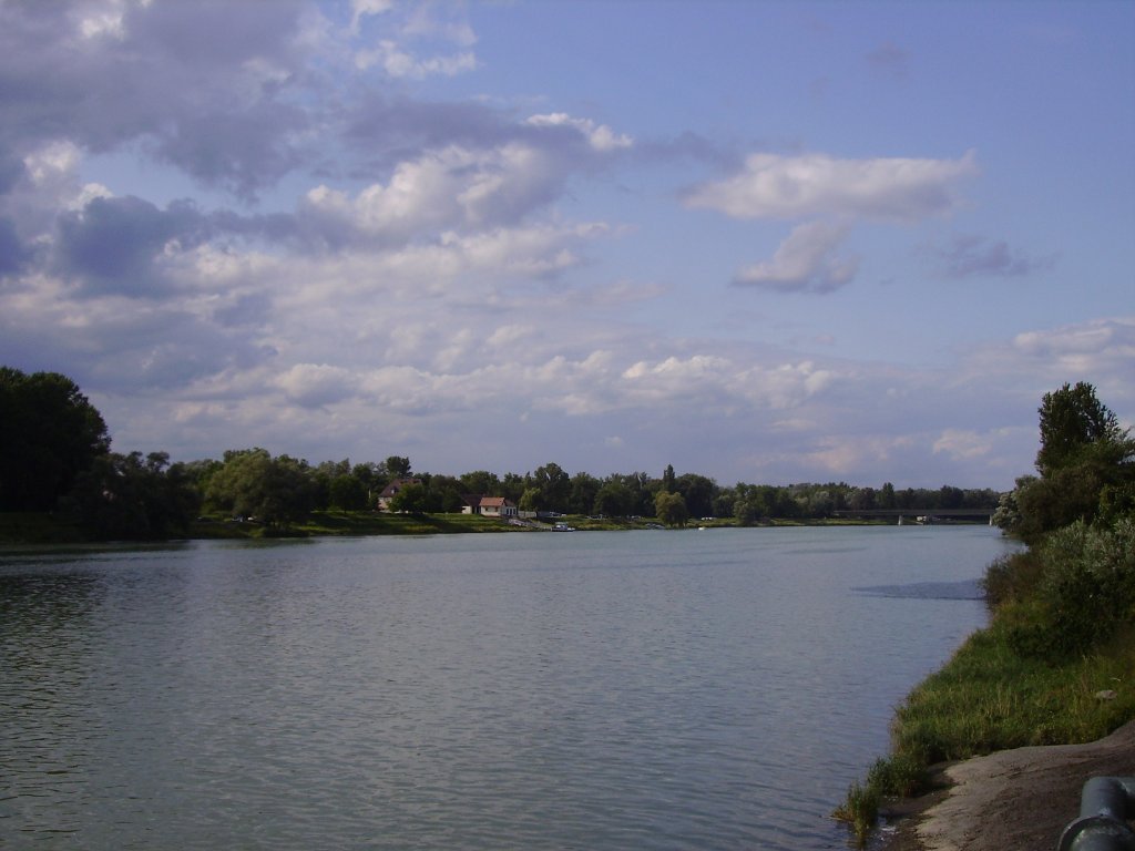 Der Rhein im Sommer 2008 nahe dem Kaiserstuhl!
