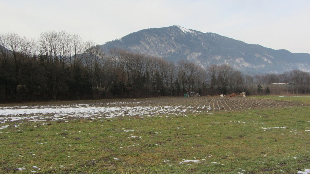 Der Schnee ist nun in Tirol wieder geschmolzen. Hier ein Acker und eine bereits grne Wiese in Kramsach.(1.1.2013)