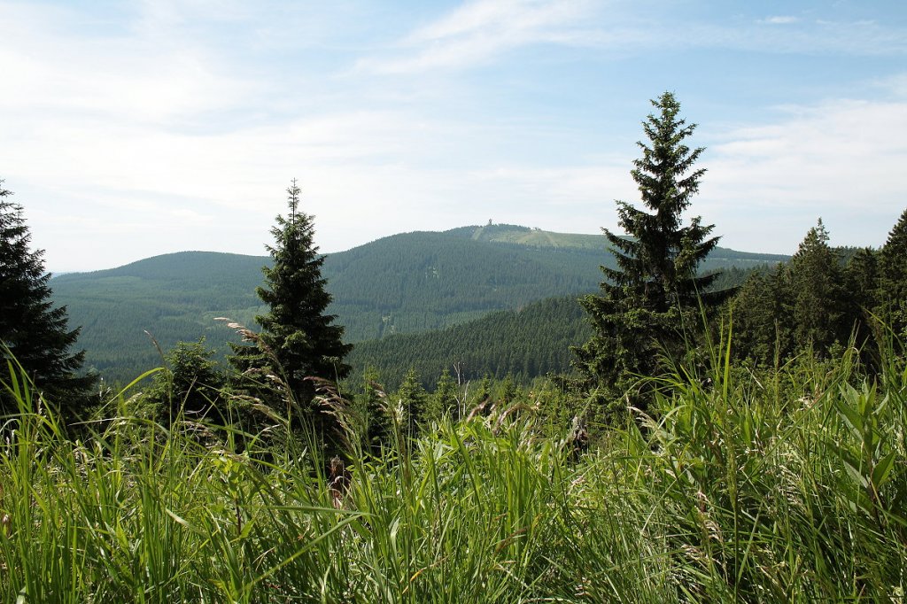 Der Wurmberg vom Bahnparallelweg aus; Aufnahme um die Mittagszeit des 18.06.2012 vom Bahnparallelweg bei Schierke im Nationalpark Harz