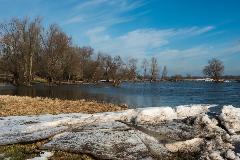 Die letzten Eisschollen an der Oder. Feb. 2013 bei Hohensaaten.
