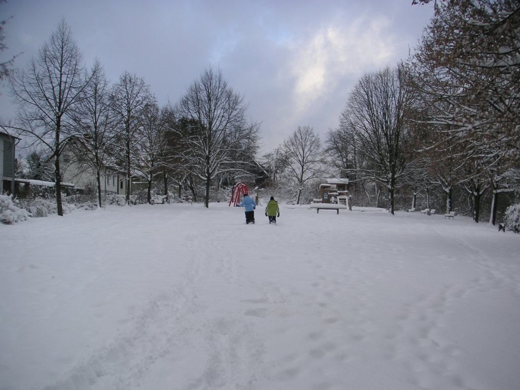 Diese Winterliche Stimmung habe ich in Saarbrcken-Ensheim Fotografiert. Die Aufnahme des Fotos war am 01.02.2010.