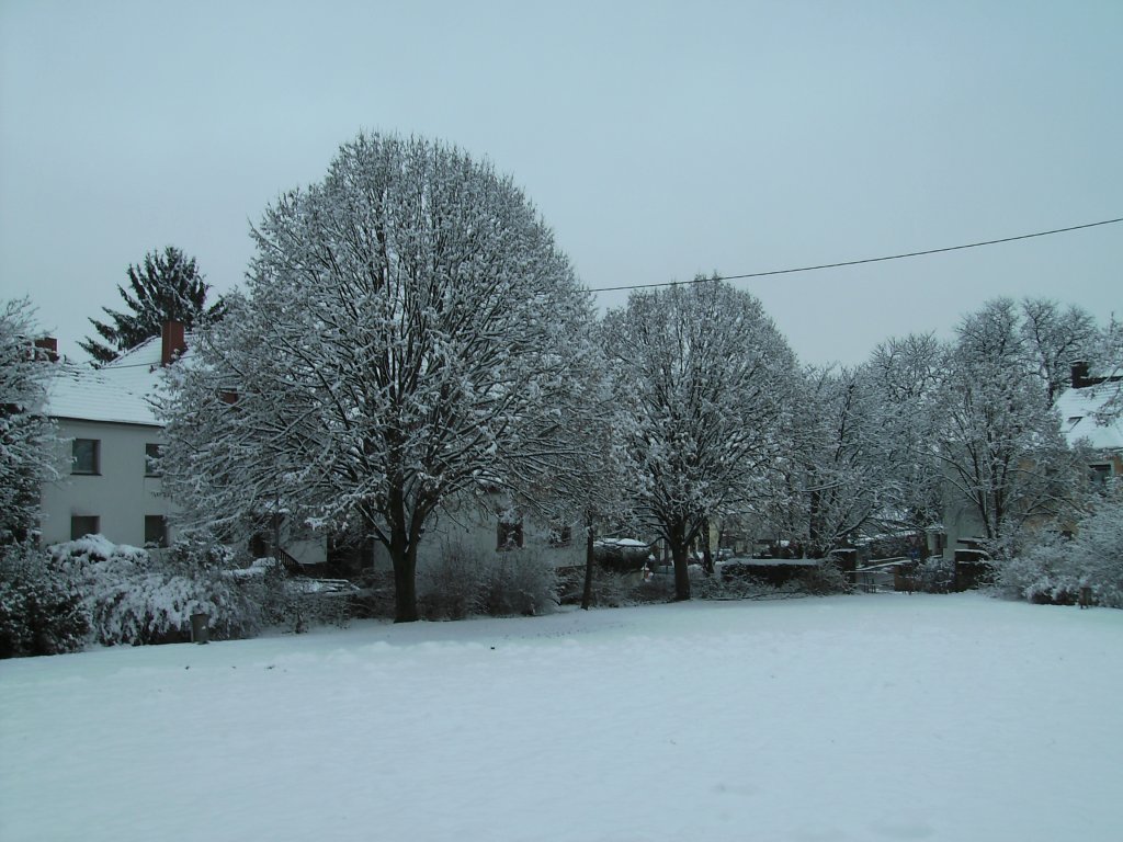Dieses Foto habe ich in Saarbrcken-Ensheim aufgenommen. Das Foto ist hier auch in der Herbstlichen Version zu sehen. Die Aufnahme des Fotos war am 25.01.2010.