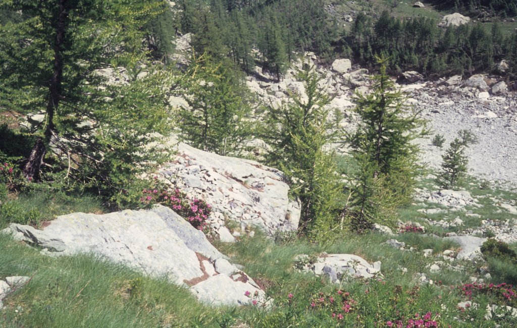 Dpartement Alpes-Maritimes am 2. Juli 1972: Vallon de la Minire.