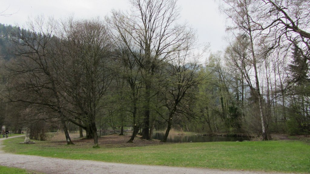 Ein Teich im Matzen Park bei Brixlegg.(15.4.2012)
