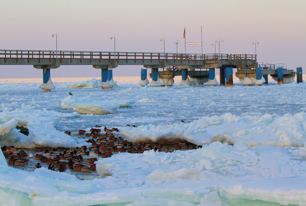 Eisesklte an der Ostsee, hier an der Seebrcke in Bansin. - 11.02.2012