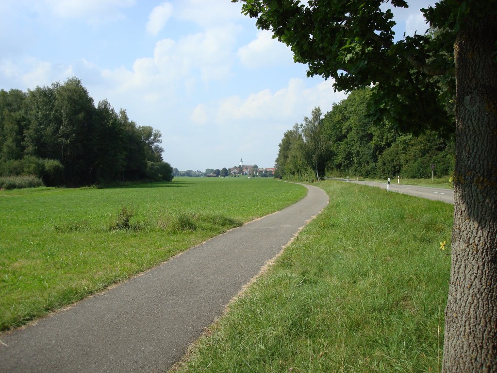 Federseeradweg/Oberschwaben,
ohne Steigung,durch abwechslungsreiche Landschaft
um den Federsee-sehr empfehlenswert,
Aug.2008