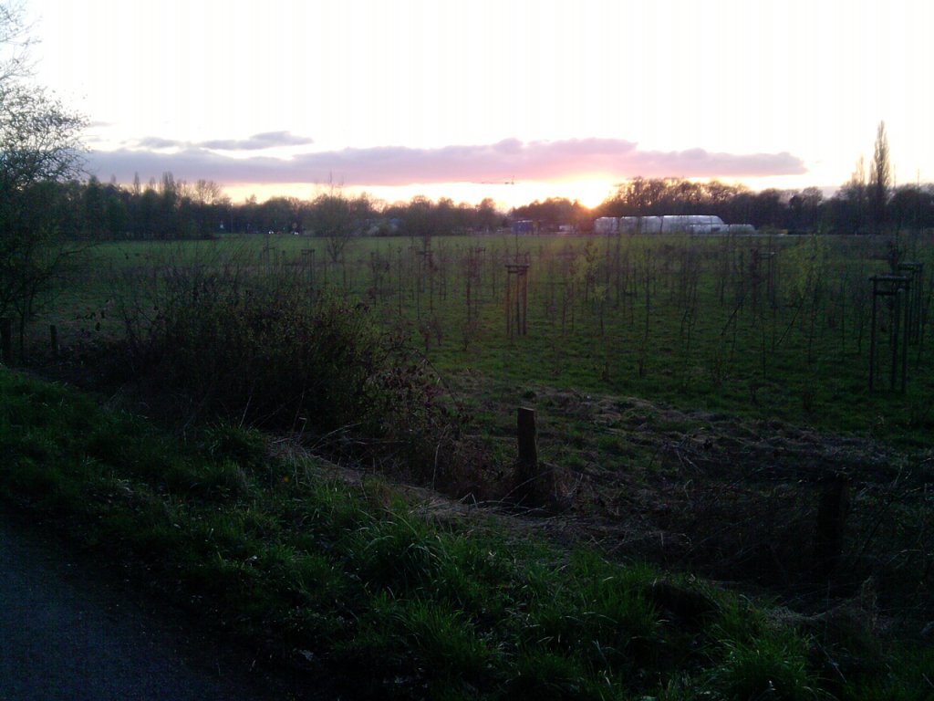 Feld an der Brinkstrae in Dinslaken.
Gerade geht die Sonne unter.