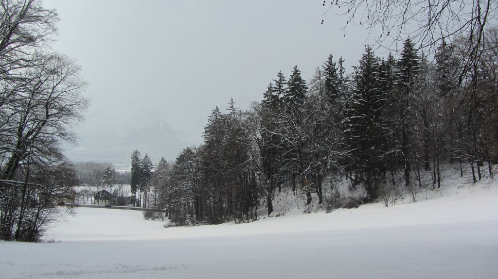 Feld bei Brixlegg.(16.2.2012)  