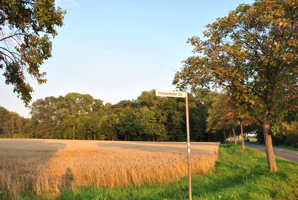 Feld beim Ramhorst/Lehrte, mit Straenschild, am 21.08.2010.