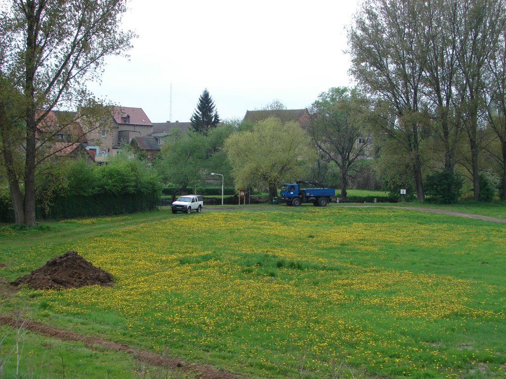 Frhling auf den Unstrutwiesen bei Laucha - der Graben vorn gehrt zur Vorbereitung der Baumanahme Unstrutbrcke - 03.05.2010