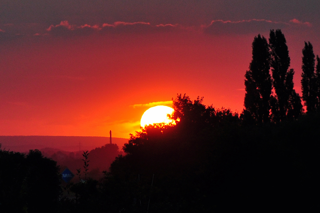 Gleich ist sie weg! Sonne verschwindet am Horizont ber der Voreifel - 10.08.2012