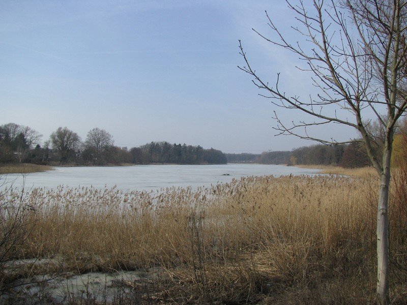 Grevesmhlen; Der Vielbecker See kurz vor Frhlingsanfang noch zugefrohren und mit einer Schneedecke zugedeckt 18.03.2010