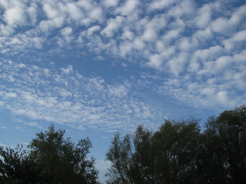 Himmel �ber Grevesm�hlen, 11.10.2008  