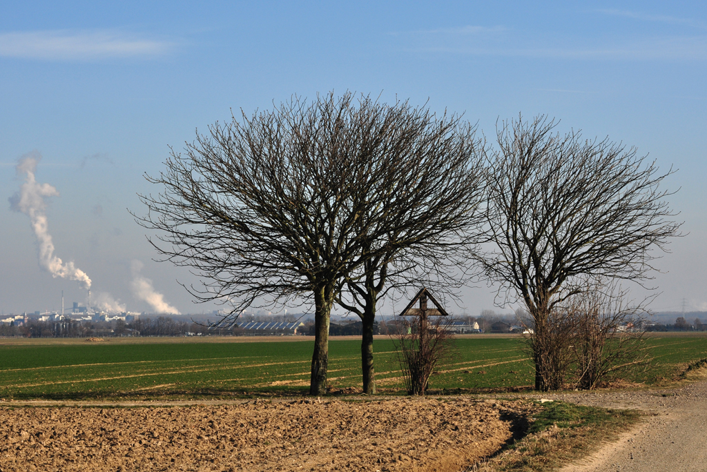 Kahle Winterbume und Feldkreuz bei Gymnich, im Hintergrund die Rauchfahnen eines Kraftwerkes - 06.02.2012