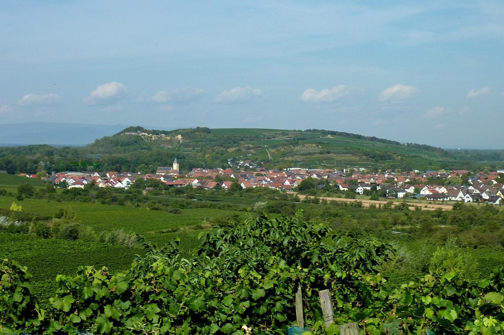 Kaiserstuhl, Blick auf den bekannten Weinort Sasbach, Sept.2012
