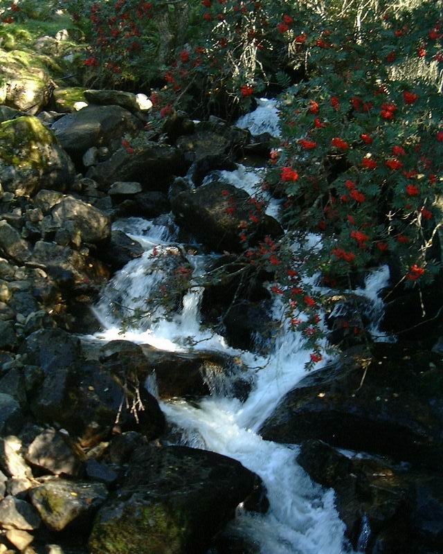 kleiner Wasserfall ber Gaupne/Norwegen
aufgenommen: 19.09.2009 mit Leica-Kompaktcamera 